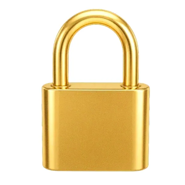 Orange padlock — Incognito