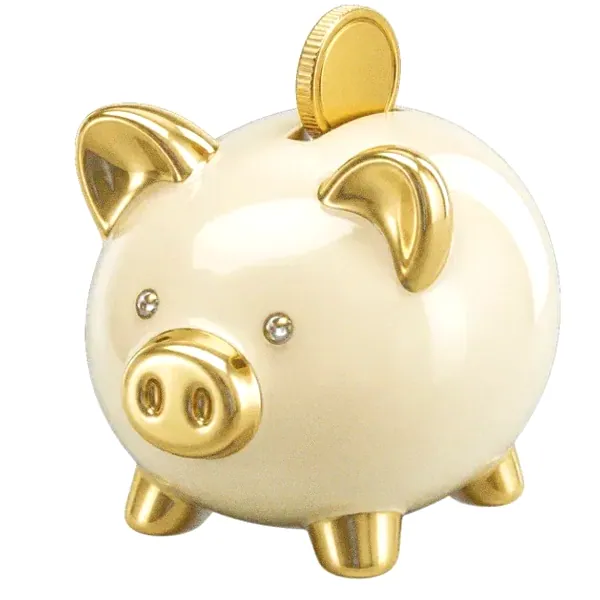 Piggy bank — Incognito