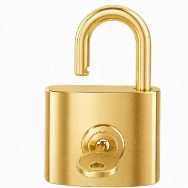 Open padlock — Incognito