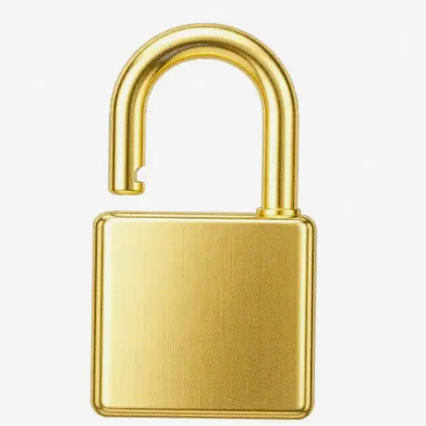 Padlock — Incognito