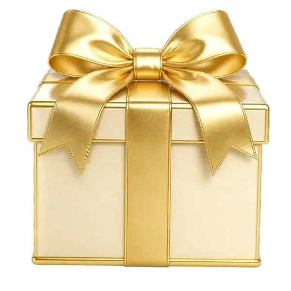 Wrapped gift box — Incognito